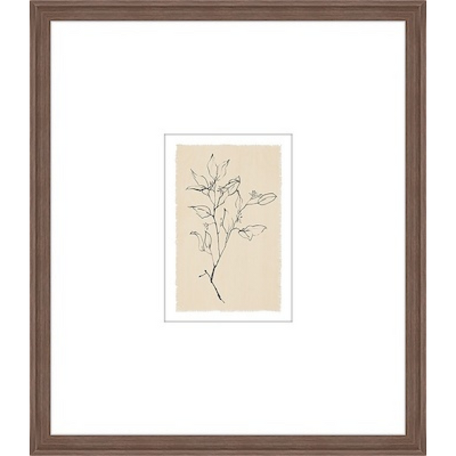 Tea Leaves II
